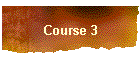 Course 3