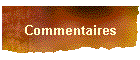 Commentaires